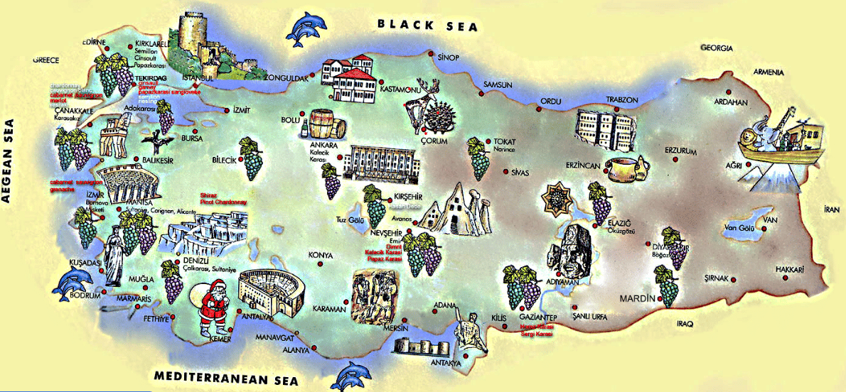 Yerli Şaraplık Üzüm Haritası