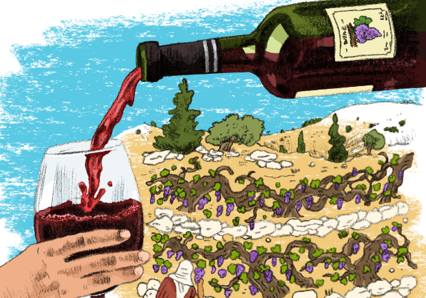 Şarap kültürü
