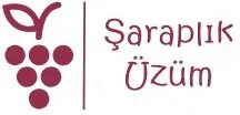 Şaraplık Üzüm Logo